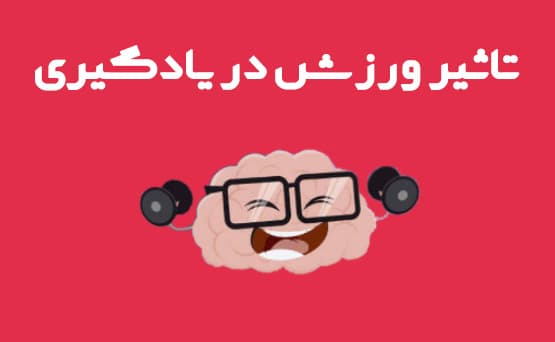 نقش ورزش در یادگیری دانش‌آموزان 